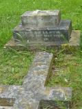 image of grave number 119867